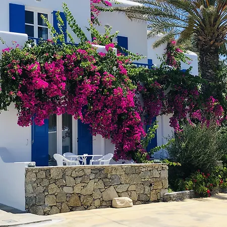 Anemos & Lejlighedshotel 4*
