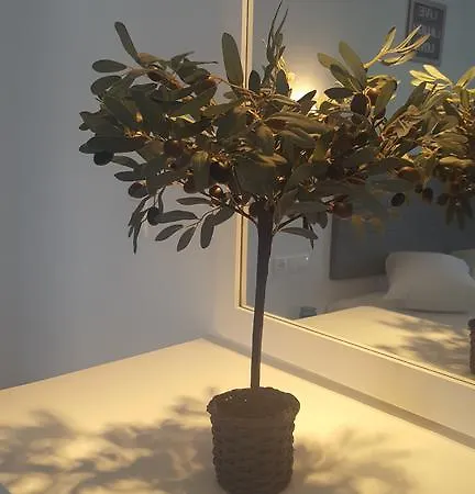 Aparthotel Anemos Ornos (Mykonos)